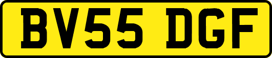 BV55DGF