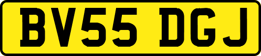 BV55DGJ