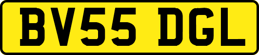 BV55DGL