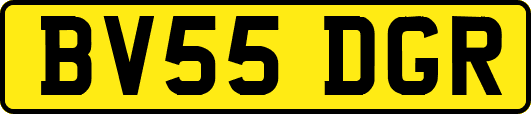 BV55DGR