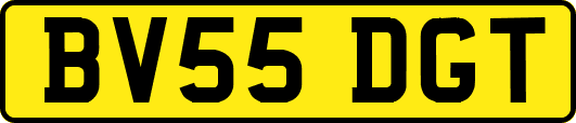 BV55DGT
