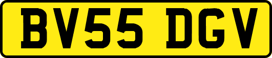 BV55DGV