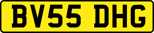 BV55DHG