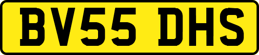 BV55DHS