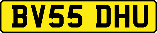 BV55DHU