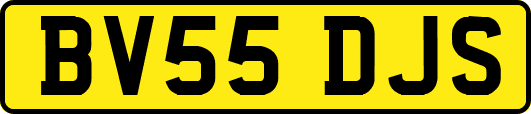 BV55DJS