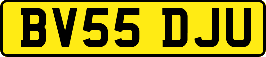 BV55DJU