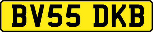 BV55DKB