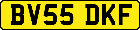 BV55DKF