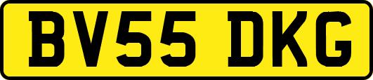 BV55DKG
