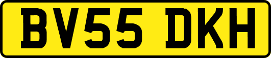 BV55DKH