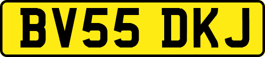 BV55DKJ