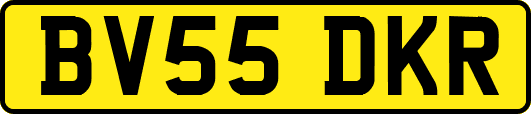 BV55DKR