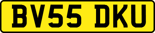 BV55DKU
