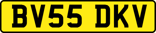BV55DKV