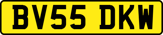 BV55DKW