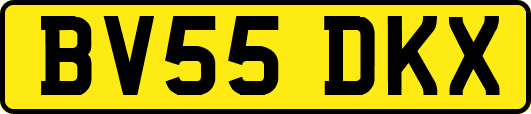 BV55DKX