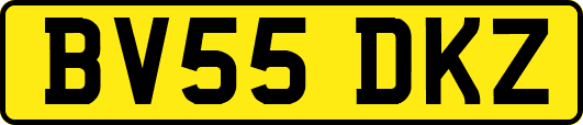 BV55DKZ