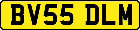 BV55DLM