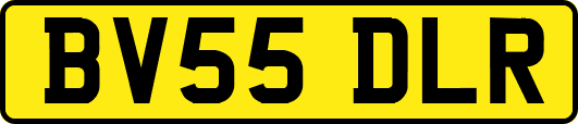BV55DLR