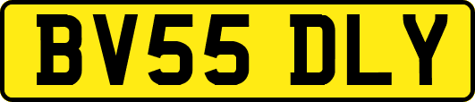 BV55DLY