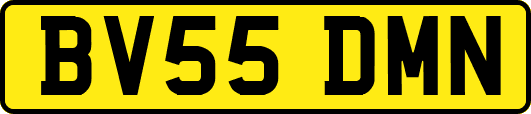 BV55DMN