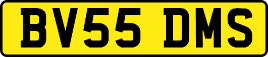 BV55DMS