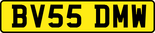 BV55DMW