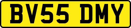 BV55DMY