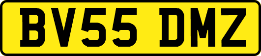 BV55DMZ