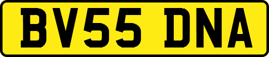 BV55DNA