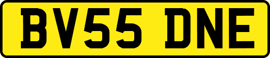 BV55DNE