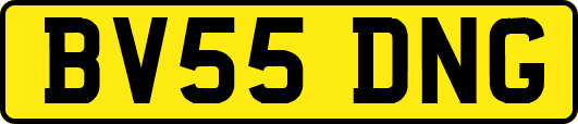 BV55DNG