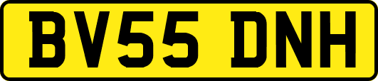 BV55DNH