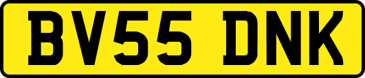 BV55DNK