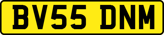 BV55DNM