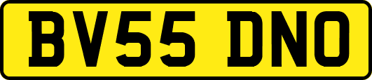 BV55DNO