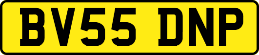 BV55DNP
