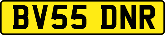 BV55DNR