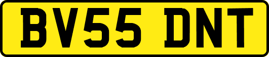 BV55DNT