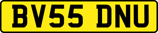 BV55DNU