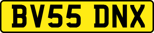 BV55DNX