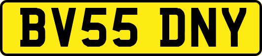 BV55DNY