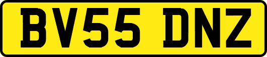 BV55DNZ