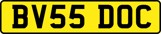 BV55DOC