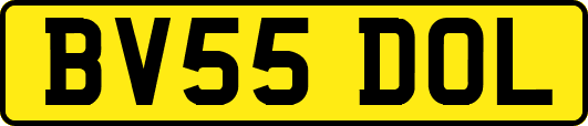 BV55DOL