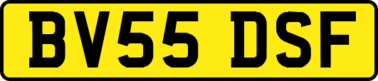 BV55DSF