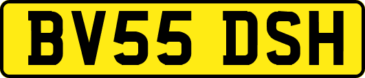 BV55DSH