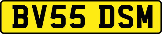 BV55DSM