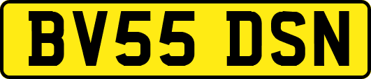 BV55DSN